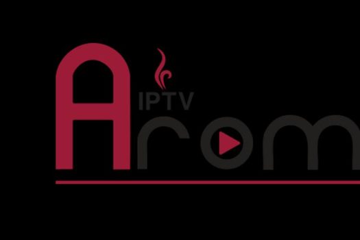 الدعم الفني سيرفر أروما: ضمان الأداء والجودة في كل وقت